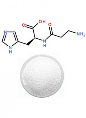 L Carnosine cho sức khỏe não bộ